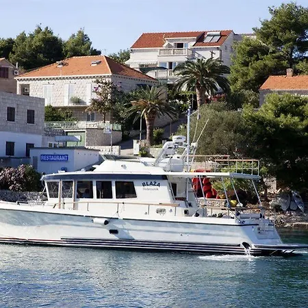 Captain's Sokol